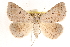  ( - CCDB-23287-B11)  @15 [ ] CreativeCommons - Attribution (2015) CBG Photography Group Centre for Biodiversity Genomics