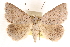  ( - CCDB-23287-B12)  @15 [ ] CreativeCommons - Attribution (2015) CBG Photography Group Centre for Biodiversity Genomics