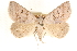  ( - CCDB-23287-C07)  @11 [ ] CreativeCommons - Attribution (2015) CBG Photography Group Centre for Biodiversity Genomics
