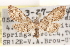  ( - CCDB-23287-C11)  @11 [ ] CreativeCommons - Attribution (2015) CBG Photography Group Centre for Biodiversity Genomics