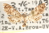  ( - CCDB-23287-D02)  @11 [ ] CreativeCommons - Attribution (2015) CBG Photography Group Centre for Biodiversity Genomics