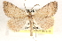  ( - CCDB-23287-E12)  @14 [ ] CreativeCommons - Attribution (2015) CBG Photography Group Centre for Biodiversity Genomics