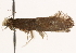  ( - CCDB-23288-A03)  @11 [ ] CreativeCommons - Attribution (2015) CBG Photography Group Centre for Biodiversity Genomics