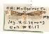  ( - CCDB-23288-A06)  @12 [ ] CreativeCommons - Attribution (2015) CBG Photography Group Centre for Biodiversity Genomics