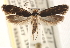  ( - CCDB-23288-A11)  @14 [ ] CreativeCommons - Attribution (2015) CBG Photography Group Centre for Biodiversity Genomics