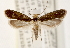  ( - CCDB-23288-A12)  @14 [ ] CreativeCommons - Attribution (2015) CBG Photography Group Centre for Biodiversity Genomics