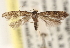  ( - CCDB-23288-B11)  @14 [ ] CreativeCommons - Attribution (2015) CBG Photography Group Centre for Biodiversity Genomics