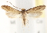  ( - CCDB-23288-C11)  @12 [ ] CreativeCommons - Attribution (2015) CBG Photography Group Centre for Biodiversity Genomics