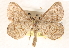  ( - CCDB-23288-E01)  @14 [ ] CreativeCommons - Attribution (2015) CBG Photography Group Centre for Biodiversity Genomics