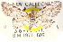  ( - CCDB-28564-A02)  @11 [ ] CreativeCommons - Attribution (2015) CBG Photography Group Centre for Biodiversity Genomics