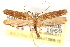  (Tisis - CCDB-28564-A11)  @14 [ ] CreativeCommons - Attribution (2015) CBG Photography Group Centre for Biodiversity Genomics