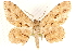  ( - CCDB-28564-D06)  @14 [ ] CreativeCommons - Attribution (2015) CBG Photography Group Centre for Biodiversity Genomics