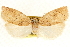  ( - CCDB-28564-H05)  @11 [ ] CreativeCommons - Attribution (2015) CBG Photography Group Centre for Biodiversity Genomics