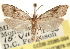  ( - CCDB-23285-G04)  @14 [ ] CreativeCommons - Attribution (2015) CBG Photography Group Centre for Biodiversity Genomics