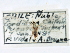  ( - CCDB-22939-B05)  @11 [ ] CreativeCommons - Attribution (2014) CBG Photography Group Centre for Biodiversity Genomics