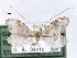  ( - CCDB-22939-B10)  @13 [ ] CreativeCommons - Attribution (2014) CBG Photography Group Centre for Biodiversity Genomics