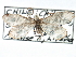  ( - CCDB-22939-B12)  @13 [ ] CreativeCommons - Attribution (2014) CBG Photography Group Centre for Biodiversity Genomics