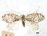  ( - CCDB-22939-C02)  @12 [ ] CreativeCommons - Attribution (2014) CBG Photography Group Centre for Biodiversity Genomics