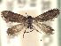  ( - CCDB-22946-D07)  @11 [ ] CreativeCommons - Attribution (2014) CBG Photography Group Centre for Biodiversity Genomics