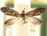  ( - CCDB-22946-D08)  @13 [ ] CreativeCommons - Attribution (2014) CBG Photography Group Centre for Biodiversity Genomics