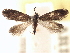  ( - CCDB-22946-D10)  @11 [ ] CreativeCommons - Attribution (2014) CBG Photography Group Centre for Biodiversity Genomics