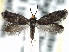  ( - CCDB-22946-E07)  @11 [ ] CreativeCommons - Attribution (2014) CBG Photography Group Centre for Biodiversity Genomics