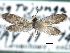  ( - CCDB-22946-E09)  @11 [ ] CreativeCommons - Attribution (2014) CBG Photography Group Centre for Biodiversity Genomics