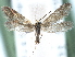  ( - CCDB-22946-E11)  @11 [ ] CreativeCommons - Attribution (2014) CBG Photography Group Centre for Biodiversity Genomics