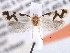  ( - CCDB-22949-C03)  @12 [ ] CreativeCommons - Attribution (2014) CBG Photography Group Centre for Biodiversity Genomics