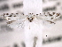 ( - CCDB-22949-C11)  @12 [ ] CreativeCommons - Attribution (2014) CBG Photography Group Centre for Biodiversity Genomics