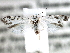  ( - CCDB-22949-C12)  @12 [ ] CreativeCommons - Attribution (2014) CBG Photography Group Centre for Biodiversity Genomics