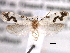  ( - CCDB-22949-D03)  @12 [ ] CreativeCommons - Attribution (2014) CBG Photography Group Centre for Biodiversity Genomics