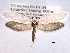  ( - CCDB-22949-D06)  @14 [ ] CreativeCommons - Attribution (2014) CBG Photography Group Centre for Biodiversity Genomics