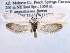  ( - CCDB-22949-D10)  @11 [ ] CreativeCommons - Attribution (2014) CBG Photography Group Centre for Biodiversity Genomics