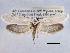  ( - CCDB-22949-D11)  @13 [ ] CreativeCommons - Attribution (2014) CBG Photography Group Centre for Biodiversity Genomics