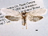  ( - CCDB-22949-E02)  @14 [ ] CreativeCommons - Attribution (2014) CBG Photography Group Centre for Biodiversity Genomics