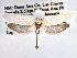  ( - CCDB-22949-E04)  @12 [ ] CreativeCommons - Attribution (2014) CBG Photography Group Centre for Biodiversity Genomics