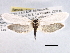  ( - CCDB-22949-E05)  @11 [ ] CreativeCommons - Attribution (2014) CBG Photography Group Centre for Biodiversity Genomics