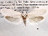  ( - CCDB-22949-F04)  @13 [ ] CreativeCommons - Attribution (2014) CBG Photography Group Centre for Biodiversity Genomics