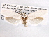  ( - CCDB-22949-F05)  @13 [ ] CreativeCommons - Attribution (2014) CBG Photography Group Centre for Biodiversity Genomics