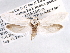  ( - CCDB-22949-F06)  @13 [ ] CreativeCommons - Attribution (2014) CBG Photography Group Centre for Biodiversity Genomics