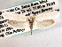  ( - CCDB-22949-H01)  @12 [ ] CreativeCommons - Attribution (2014) CBG Photography Group Centre for Biodiversity Genomics