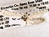  ( - CCDB-22949-H02)  @12 [ ] CreativeCommons - Attribution (2014) CBG Photography Group Centre for Biodiversity Genomics