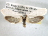  ( - CCDB-22949-H11)  @14 [ ] CreativeCommons - Attribution (2014) CBG Photography Group Centre for Biodiversity Genomics