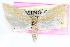  ( - CCDB-24281-B06)  @11 [ ] CreativeCommons - Attribution (2015) CBG Photography Group Centre for Biodiversity Genomics