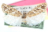  ( - CCDB-24281-E08)  @11 [ ] CreativeCommons - Attribution (2015) CBG Photography Group Centre for Biodiversity Genomics