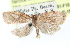  ( - CCDB-24281-F10)  @11 [ ] CreativeCommons - Attribution (2015) CBG Photography Group Centre for Biodiversity Genomics
