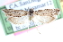  ( - CCDB-24282-C08)  @14 [ ] CreativeCommons - Attribution (2015) CBG Photography Group Centre for Biodiversity Genomics