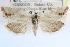  ( - CCDB-24282-D05)  @11 [ ] CreativeCommons - Attribution (2015) CBG Photography Group Centre for Biodiversity Genomics