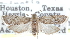  ( - CCDB-24283-C03)  @11 [ ] CreativeCommons - Attribution (2015) CBG Photography Group Centre for Biodiversity Genomics